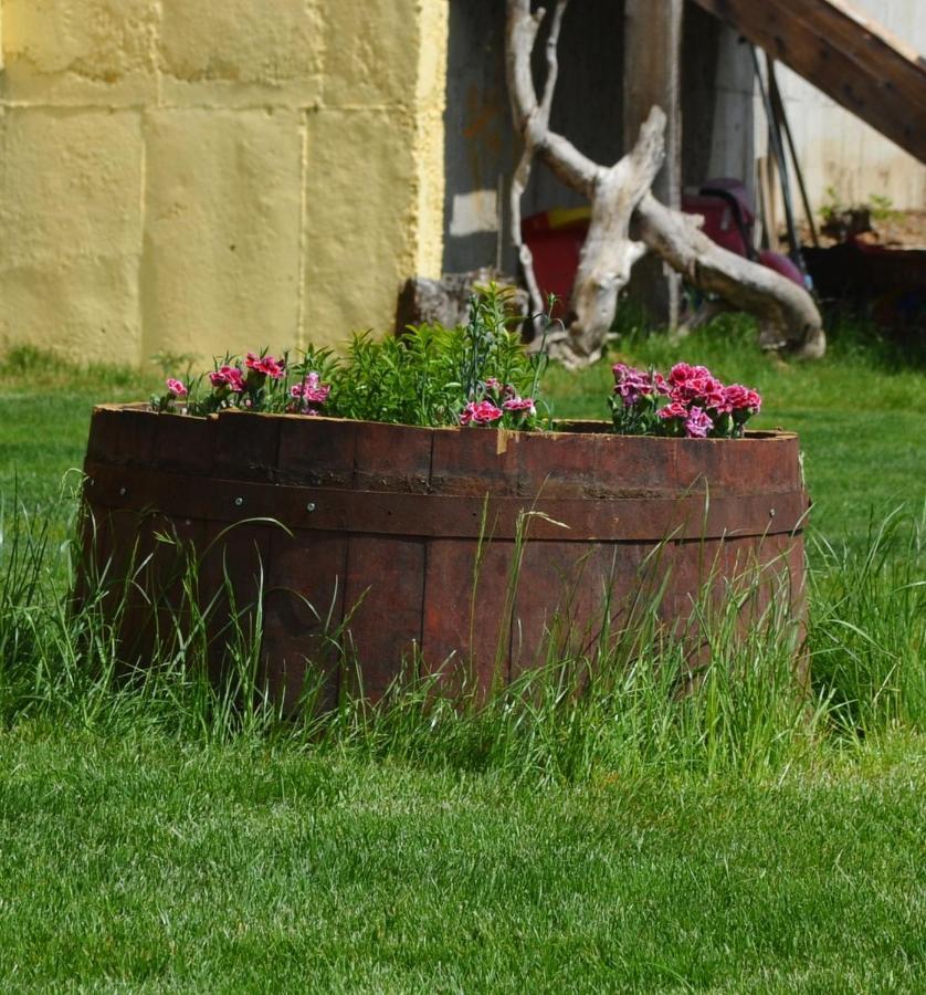 Villa Aya Smochevo Buitenkant foto